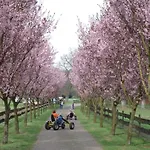 Landferienhof Garbert 度假居 Wilsum