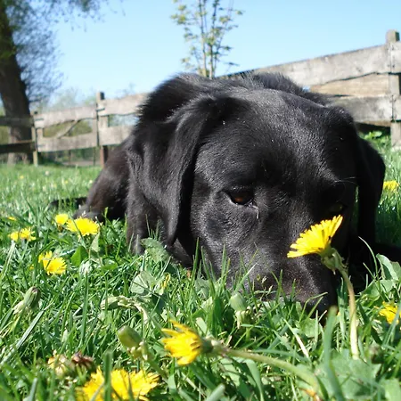 Landferienhof Garbert