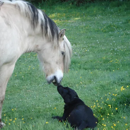 Landferienhof Garbert Vakantiehuis *