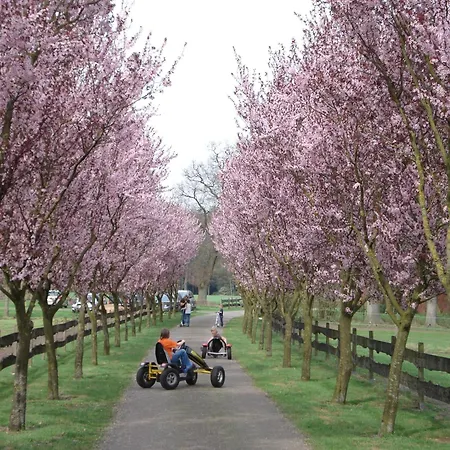Landferienhof Garbert Vakantiehuis Wilsum